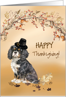 Cavalier King Charles Spaniel Funny Pilgrim Hat Thanksgiving card