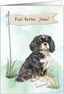 Cavalier King Charles Spaniel Feel Better After Surgery to Dog card