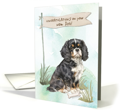 Cavalier King Charles Spaniel Congratulations on New Dog card