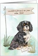 Cavalier King Charles Spaniel Congratulations on New Dog card