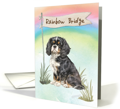 Cavalier King Charles Spaniel Pet Sympathy Over Rainbow Bridge card