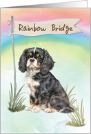 Cavalier King Charles Spaniel Pet Sympathy Over Rainbow Bridge card