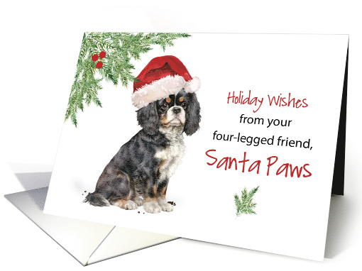 Christmas From Cavalier King Charles Spaniel Dog in Funny... (1786468)