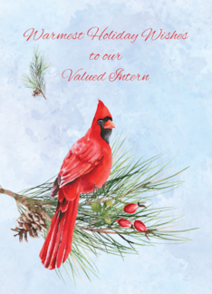 Intern Appreciation Business Christmas Red Cardinal on Pine Bough