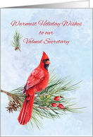 Secretary Appreciation Business Christmas Red Cardinal on Pine Bough card