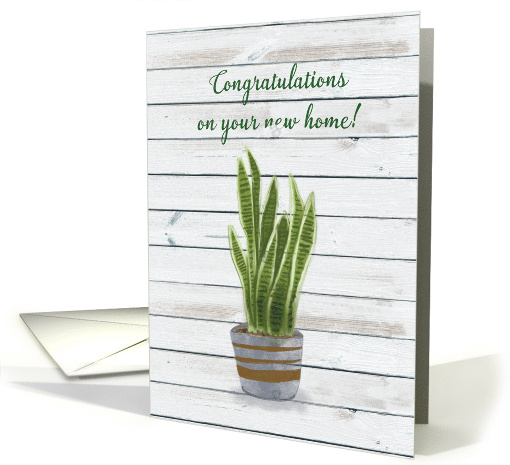New Home Congratulations with Snake Plant on Wooden Plank Wall. card