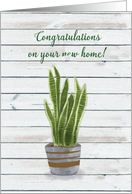 New Home Congratulations with Snake Plant on Wooden Plank Wall. card