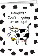 Daughter Away at College Thinking of You Funny Cow card