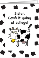 Sister Away at College Thinking of You Funny Cow card