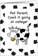 Pet Owner Away at College Thinking of You Funny Cow card