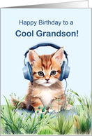Cool Grandson Birthday Cat with Headphones card