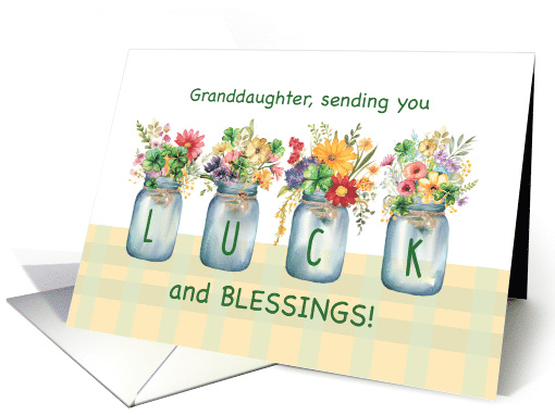 Granddaughter St. Patricks Day Luck and Blessings... (1822084)