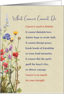 What Cancer Cannot...