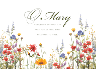 Mary Pray for Us...