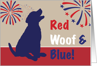 Fourth of July Puppy Dog Red Woof and Blue card