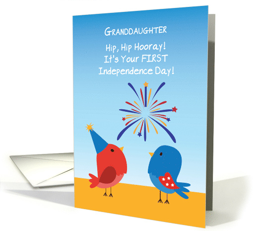 Granddaughter First 4th of July Cute Birds Watching Fireworks card