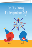 From Both of Us Birds Watching Fireworks Happy 4th of July for Kids card