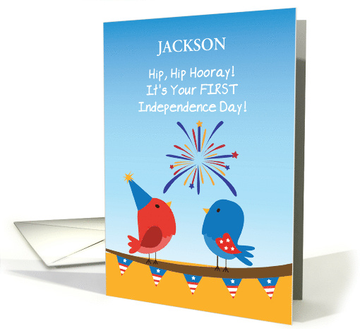 Custom Name Babys First 4th of July Cute Birds Watching Fireworks card