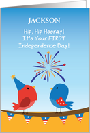 Custom Name Babys First 4th of July Cute Birds Watching Fireworks card