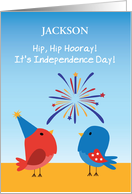 Custom Name 4th of July Cute Birds Watching Fireworks card