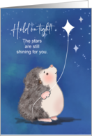 Winter Blues Support Hedgehog Attached to Star card