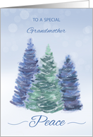 Grandmother Holiday Peace with Evergreen Trees card