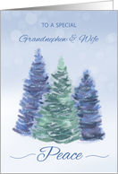 Grandnephew and Wife Holiday Peace with Evergreen Trees card
