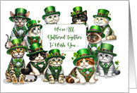 Business St Patricks Day From Group Funny Cats card