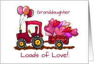 Granddaughter Valentines Day Loads of Love and Hearts card
