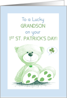 Grandson 1st St Patricks Day Green Snuggly Teddy Bear card