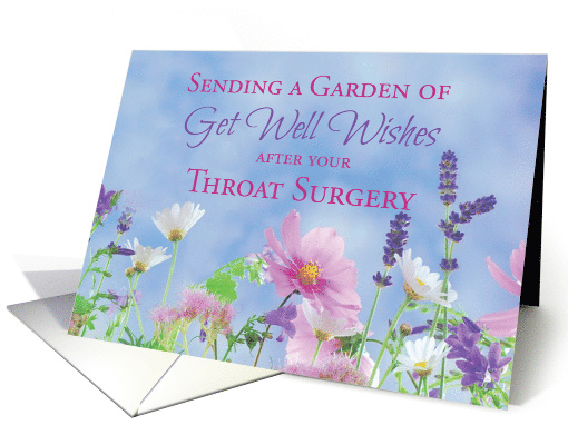 After Throat Surgery Get Well Wildflowers card (1900500)