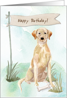 Yellow Lab Dog Under Birthday Sign card