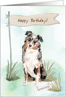 Australian Shepherd Dog Under Birthday Sign card
