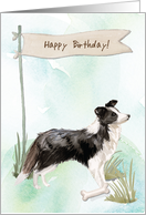 Border Collie Dog Under Birthday Sign card