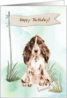 Brown Cocker Spaniel Dog Under Birthday Sign card