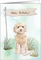 Champagne Cockapoo Dog Under Birthday Sign card