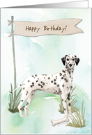 Dalmatian Dog Under Birthday Sign card