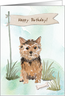 Norfolk Terrier Dog Under Birthday Sign card
