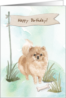 Pommeranian Dog Under Birthday Sign card