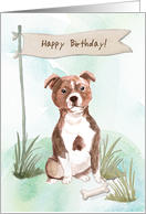 Staffordshire Bull Terrier Dog Under Birthday Sign card