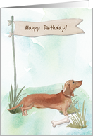 Tan Dachshund Dog Under Birthday Sign card