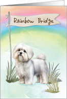 Maltese Dog Pet Sympathy Over Rainbow Bridge card
