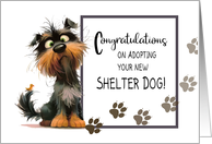 Congratulations on Adopting Your New Shelter Dog card