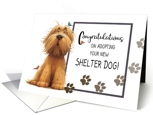 Golden Color Dog Congratulations Adopting New Shelter Dog card
