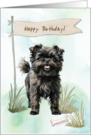 Affenpinscher Breed Dog Outside Under Birthday Sign card