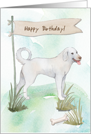 Akbash Breed Dog Outdoors Under Birthday Sign card