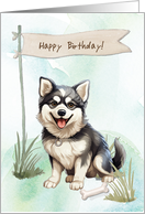 Alaskan Klee Kai Breed Dog Outdoors Under Birthday Sign card