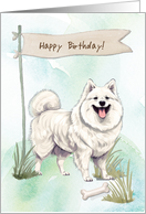American Eskimo Breed Dog Outside Under Birthday Sign card