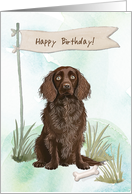 Boykin Spaniel Breed Dog Outside Under Birthday Sign card