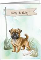 Brussels Griffon Breed Dog Outside Under Birthday Sign card